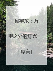 杨宇东：万里之外的灯光｜序言