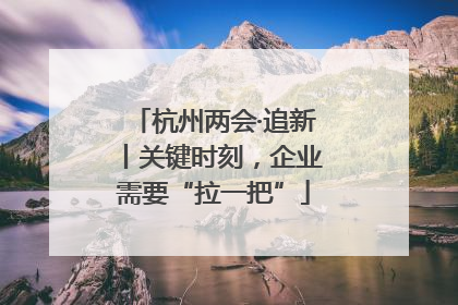 杭州两会·追新丨关键时刻，企业需要“拉一把”