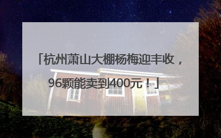 杭州萧山大棚杨梅迎丰收，96颗能卖到400元！