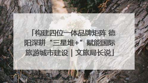 构建四位一体品牌矩阵 德阳深耕“三星堆+”赋能国际旅游城市建设｜文旅局长说