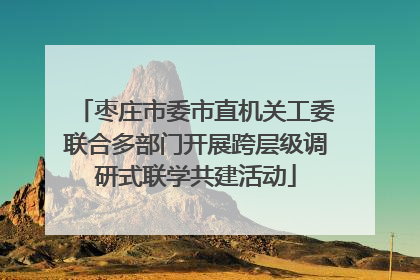 枣庄市委市直机关工委联合多部门开展跨层级调研式联学共建活动