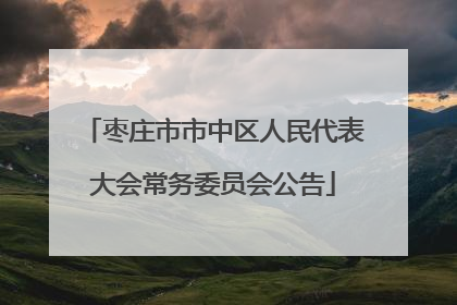 枣庄市市中区人民代表大会常务委员会公告