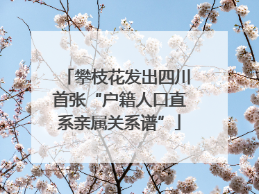 攀枝花发出四川首张“户籍人口直系亲属关系谱”