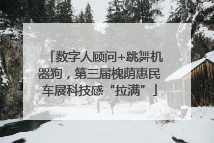 数字人顾问+跳舞机器狗，第三届槐荫惠民车展科技感“拉满”