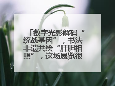 数字光影解码“统战基因”，书法非遗共绘“肝胆相照”，这场展览很有创意！