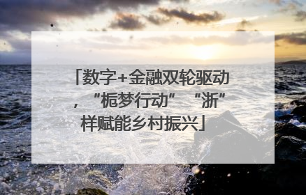 数字+金融双轮驱动，“栀梦行动”“浙”样赋能乡村振兴