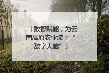 数智赋能，为云南高原农业装上“数字大脑”
