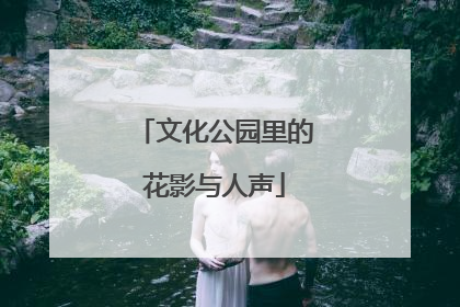 文化公园里的花影与人声
