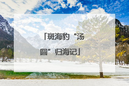 斑海豹“汤圆”归海记