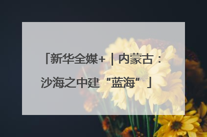 新华全媒+｜内蒙古：沙海之中建“蓝海”