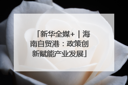 新华全媒+｜海南自贸港：政策创新赋能产业发展