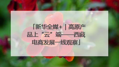 新华全媒+｜高原产品上“云”端——西藏电商发展一线观察