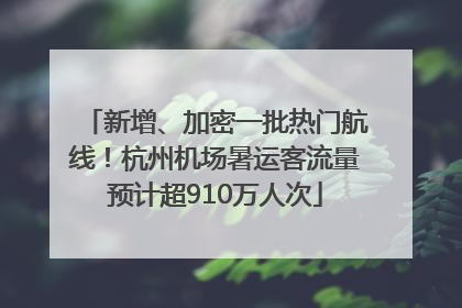 新增、加密一批热门航线！杭州机场暑运客流量预计超910万人次