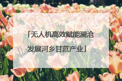 无人机高效赋能澜沧发展河乡甘蔗产业