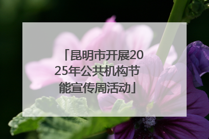 昆明市开展2025年公共机构节能宣传周活动