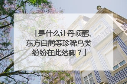 是什么让丹顶鹤、东方白鹳等珍稀鸟类纷纷在此落脚？