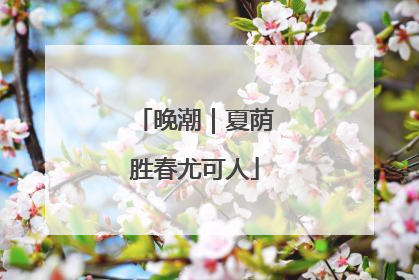 晚潮｜夏荫胜春尤可人