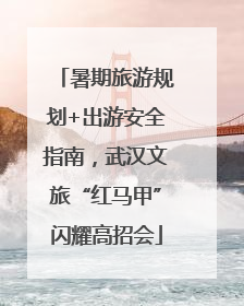 暑期旅游规划+出游安全指南，武汉文旅“红马甲”闪耀高招会