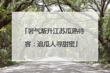 暑气渐升江苏瓜熟待客：追瓜人寻甜蜜