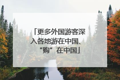 更多外国游客深入各地游在中国、“购”在中国