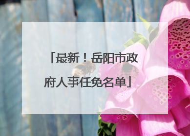 最新！岳阳市政府人事任免名单