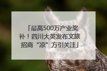 最高500万产业奖补！四川大英发布文旅招商“凉”方引关注
