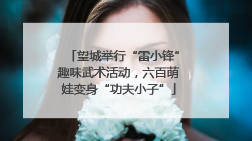 望城举行“雷小锋”趣味武术活动，六百萌娃变身“功夫小子”
