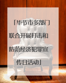 毕节市多部门联合开展打击和防范经济犯罪宣传日活动