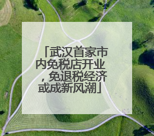 武汉首家市内免税店开业，免退税经济或成新风潮