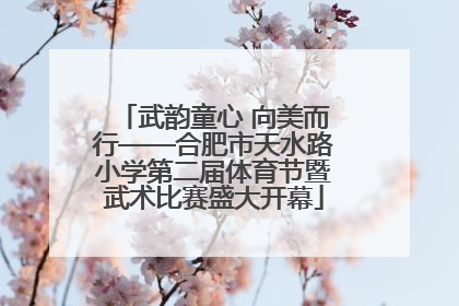 武韵童心 向美而行——合肥市天水路小学第二届体育节暨武术比赛盛大开幕