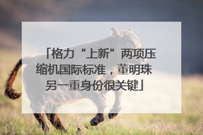 格力“上新”两项压缩机国际标准，董明珠另一重身份很关键