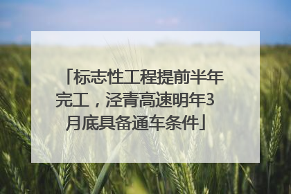 标志性工程提前半年完工，泾青高速明年3月底具备通车条件