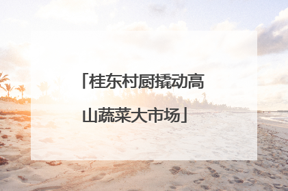桂东村厨撬动高山蔬菜大市场