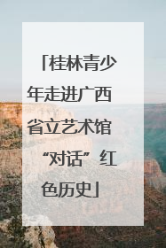 桂林青少年走进广西省立艺术馆“对话”红色历史
