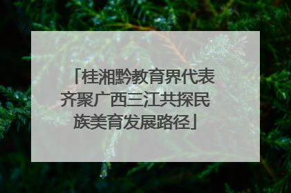 桂湘黔教育界代表齐聚广西三江共探民族美育发展路径
