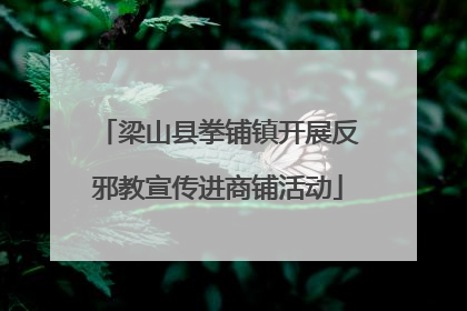 梁山县拳铺镇开展反邪教宣传进商铺活动