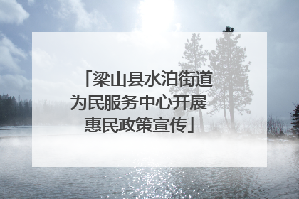 梁山县水泊街道为民服务中心开展惠民政策宣传
