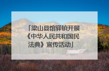 梁山县馆驿镇开展《中华人民共和国民法典》宣传活动