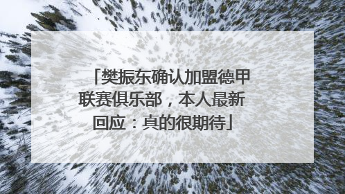 樊振东确认加盟德甲联赛俱乐部，本人最新回应：真的很期待