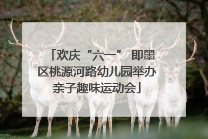 欢庆“六一” 即墨区桃源河路幼儿园举办亲子趣味运动会