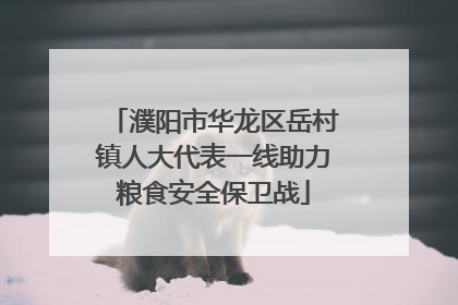 濮阳市华龙区岳村镇人大代表一线助力粮食安全保卫战