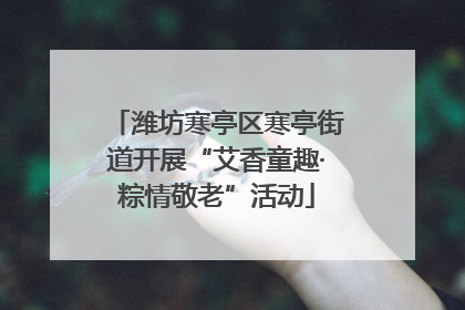 潍坊寒亭区寒亭街道开展“艾香童趣·粽情敬老”活动
