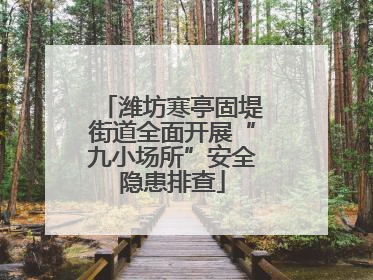潍坊寒亭固堤街道全面开展“九小场所”安全隐患排查