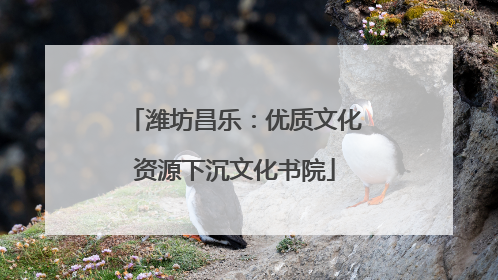 潍坊昌乐：优质文化资源下沉文化书院