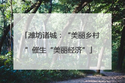 潍坊诸城：“美丽乡村”催生“美丽经济”