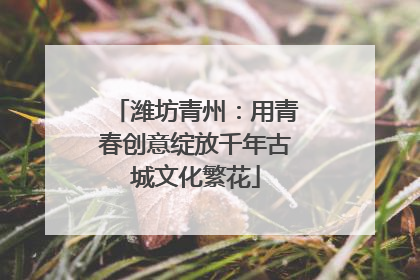 潍坊青州：用青春创意绽放千年古城文化繁花
