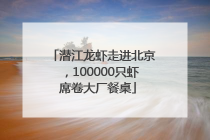 潜江龙虾走进北京，100000只虾席卷大厂餐桌