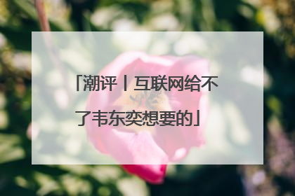 潮评丨互联网给不了韦东奕想要的