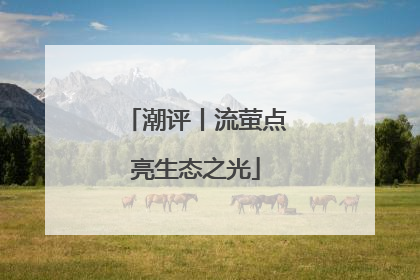 潮评丨流萤点亮生态之光