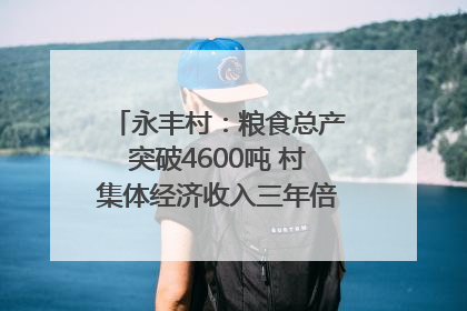 永丰村：粮食总产突破4600吨 村集体经济收入三年倍增｜牵挂的村